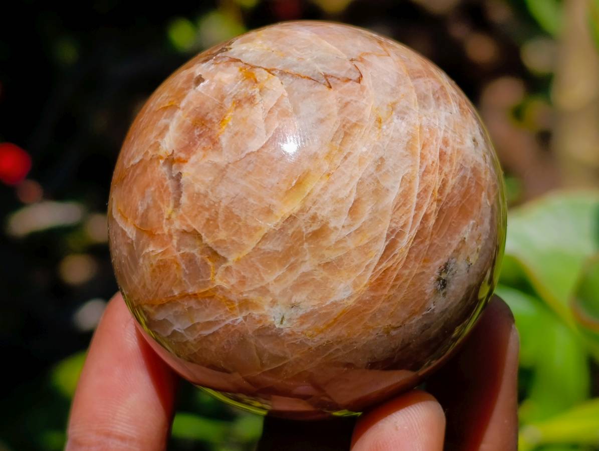 Polished Peach Moonstone Spheres x 6 From Madagascar