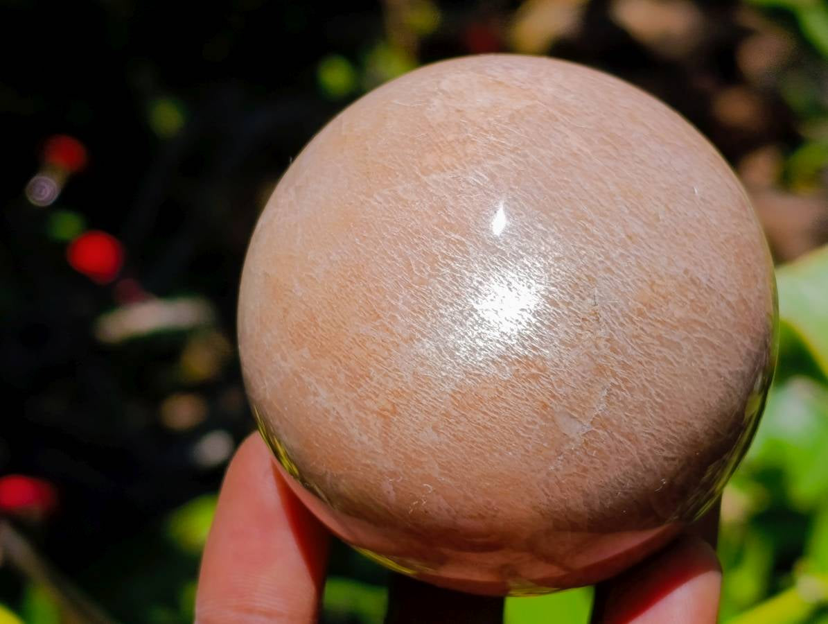 Polished Peach Moonstone Spheres x 6 From Madagascar