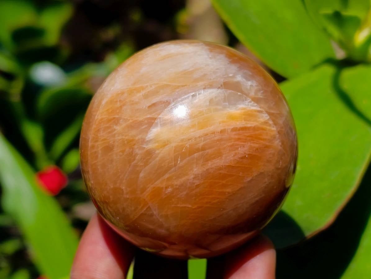 Polished Peach Moonstone Spheres x 6 From Madagascar