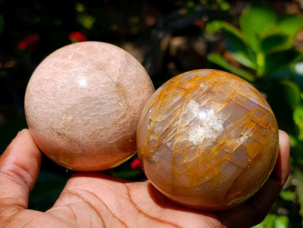 Polished Peach Moonstone Spheres x 6 From Madagascar