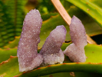 Natural Amethyst Spirit Crystals And Clusters x 20 From Boekenhouthoek, South Africa