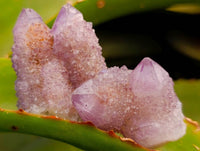Natural Amethyst Spirit Crystals And Clusters x 20 From Boekenhouthoek, South Africa