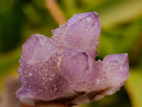 Natural Amethyst Spirit Crystals And Clusters x 20 From Boekenhouthoek, South Africa