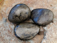Polished Basalt Pharaoh Stone Galets x 12 From Iron Duke Mine, Zimbabwe