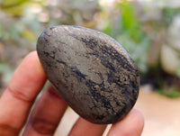 Polished Basalt Pharaoh Stone Galets x 12 From Iron Duke Mine, Zimbabwe