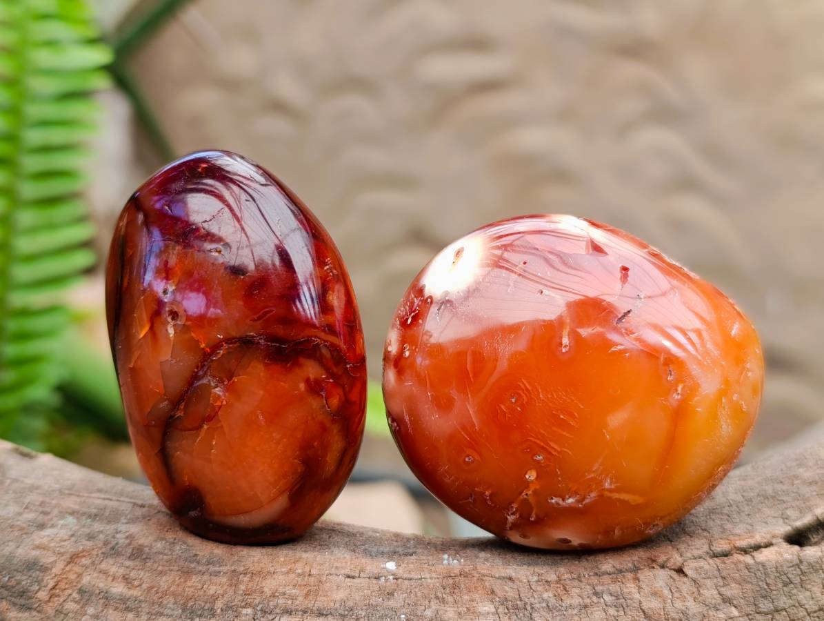 Polished Carnelian Agate Gemstone Galets x 24 From Madagascar