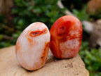 Polished Carnelian Agate Gemstone Galets x 24 From Madagascar