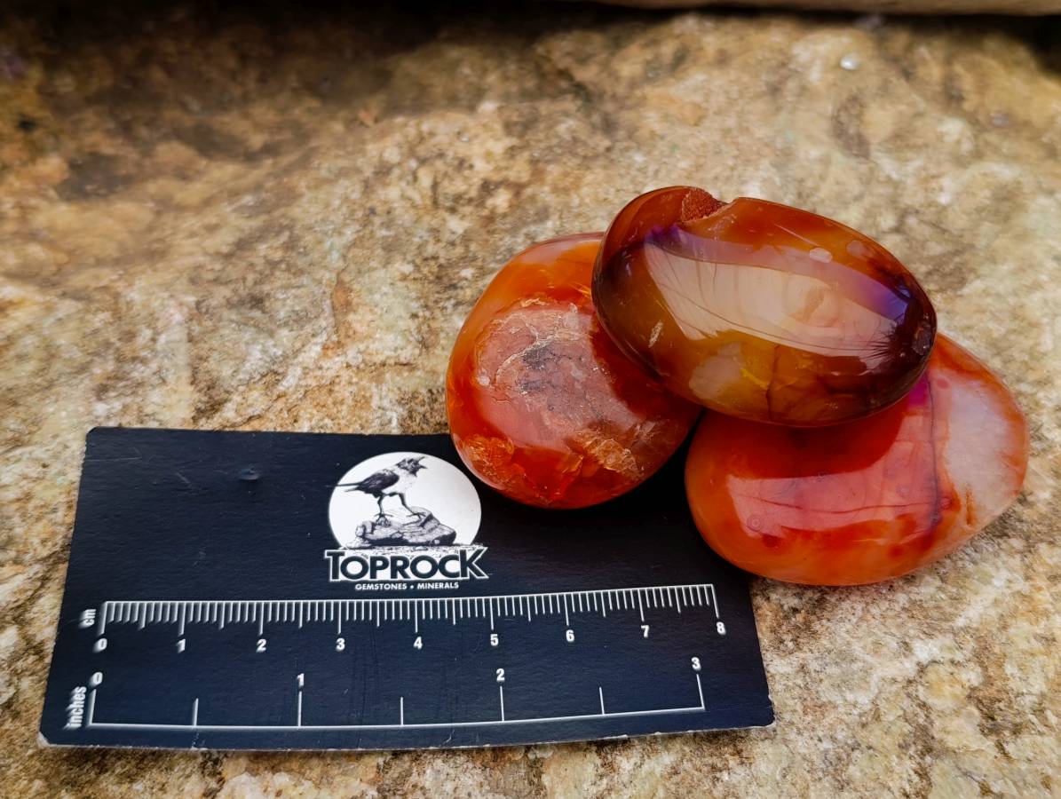 Polished Carnelian Agate Gemstone Galets x 24 From Madagascar