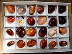Polished Carnelian Agate Gemstone Galets x 24 From Madagascar