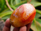 Polished Carnelian Agate Gemstone Galets x 24 From Madagascar