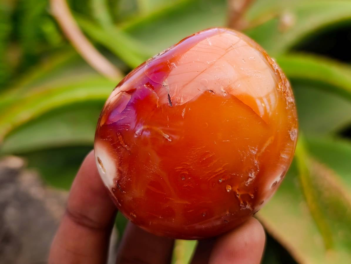 Polished Carnelian Agate Gemstone Galets x 24 From Madagascar