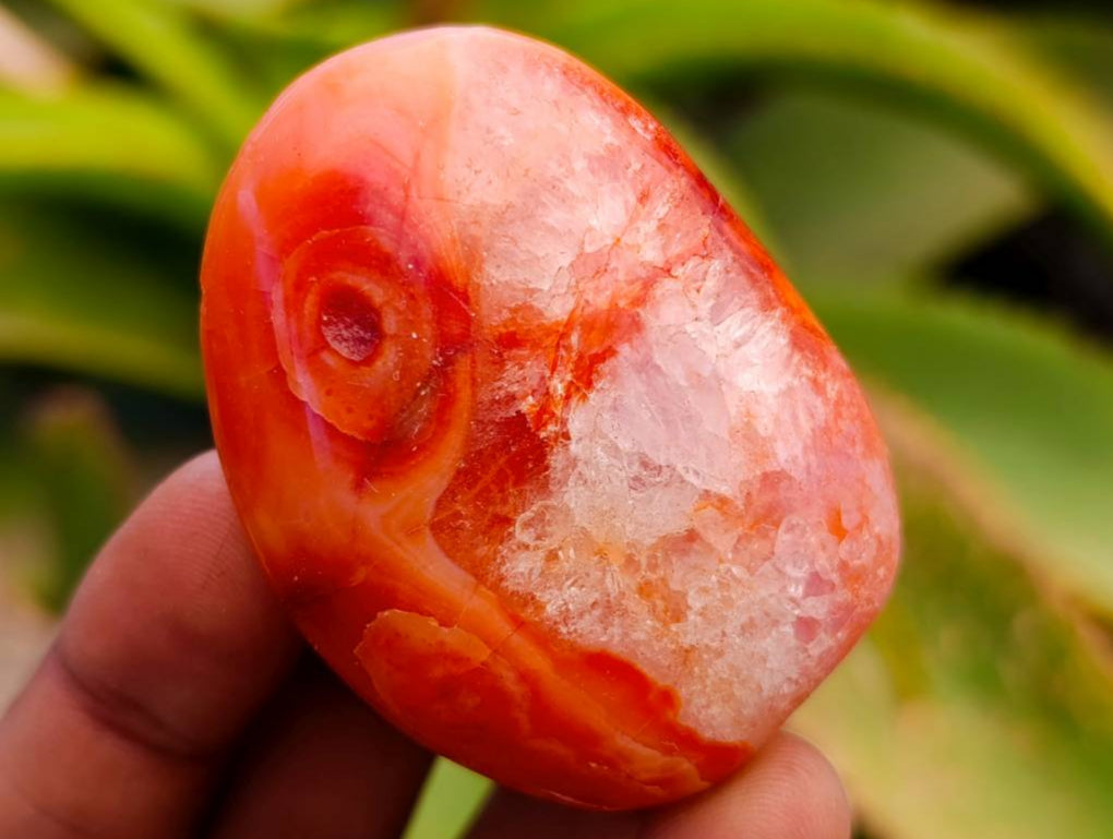 Polished Carnelian Agate Gemstone Galets x 24 From Madagascar