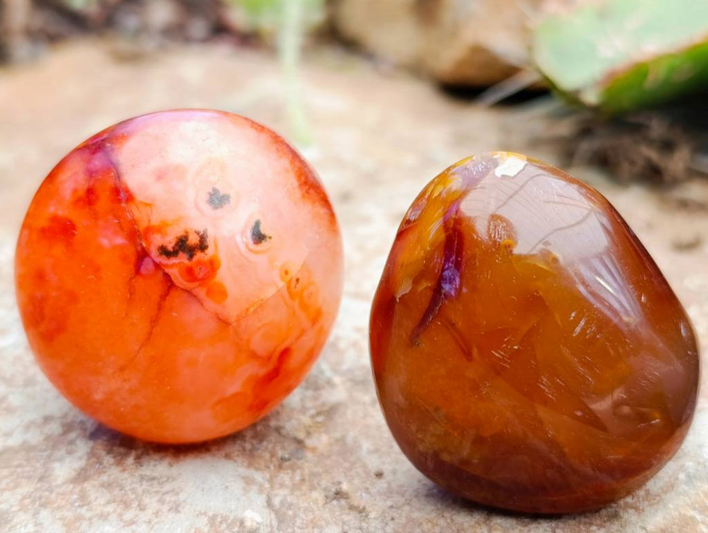 Polished Carnelian Agate Gemstone Galets x 24 From Madagascar