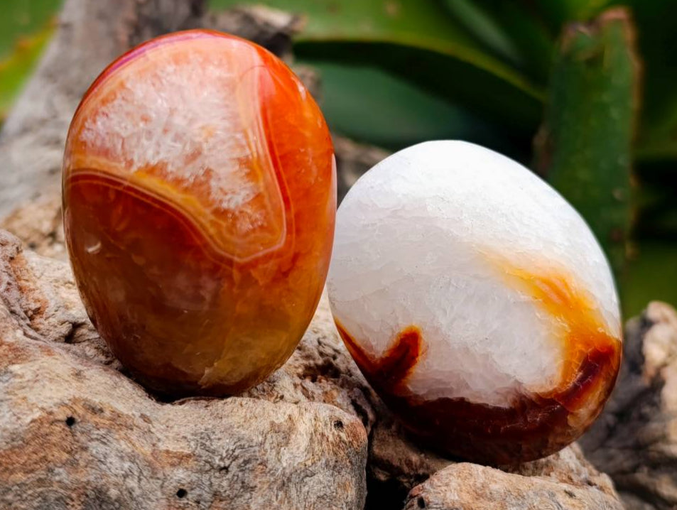 Polished Carnelian Agate Gemstone Galets x 24 From Madagascar