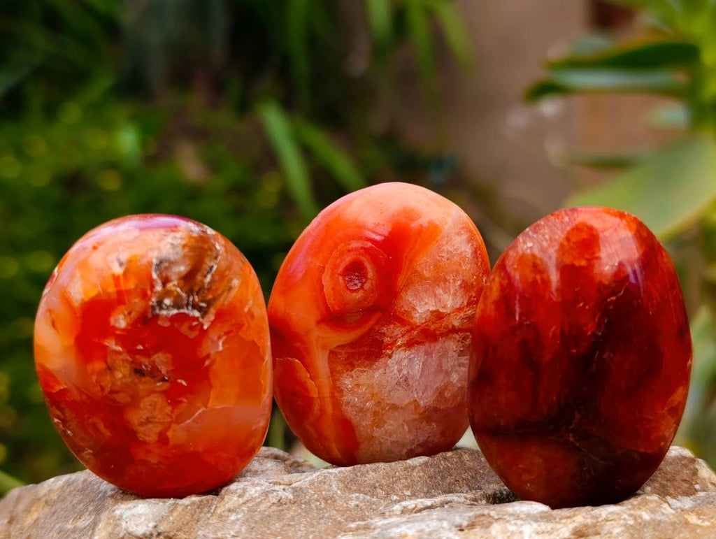 Polished Carnelian Agate Gemstone Galets x 24 From Madagascar