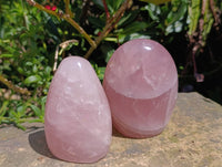 Polished Rose Quartz Standing Free Forms x 4 From Madagascar