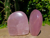 Polished Rose Quartz Standing Free Forms x 4 From Madagascar