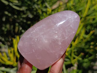 Polished Rose Quartz Standing Free Forms x 4 From Madagascar