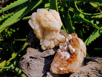 Natural Mix Of Multi Mineral Specimens x 6 From Southern Africa
