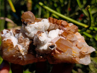 Natural Mix Of Multi Mineral Specimens x 6 From Southern Africa
