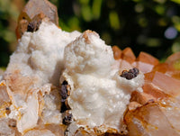 Natural Mix Of Multi Mineral Specimens x 6 From Southern Africa