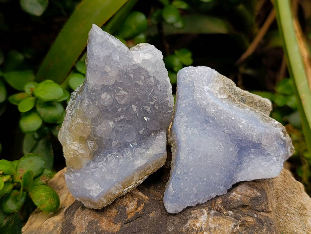 Natural Blue Lace Agate Geode Specimens x 12 From Nsanje, Malawi