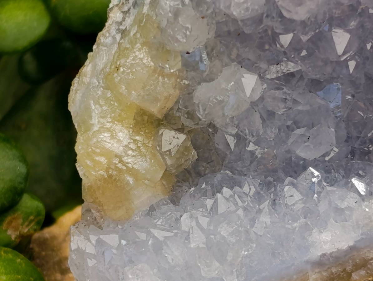 Natural Blue Lace Agate Geode Specimens x 12 From Nsanje, Malawi