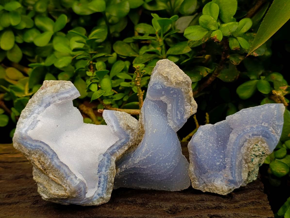Natural Blue Lace Agate Geode Specimens x 12 From Nsanje, Malawi