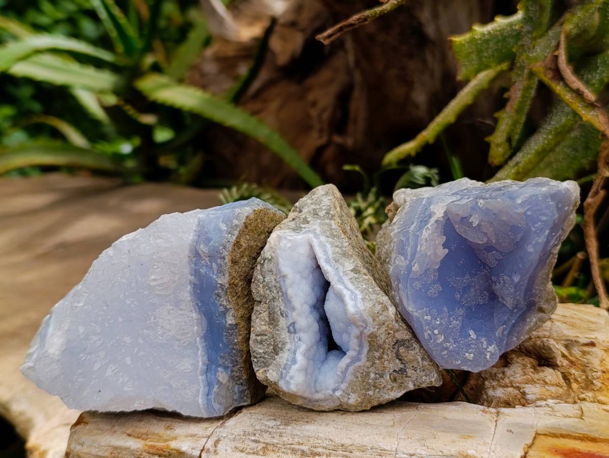 Natural Blue Lace Agate Geode Specimens x 12 From Nsanje, Malawi