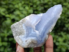 Natural Blue Lace Agate Geode Specimens x 12 From Nsanje, Malawi