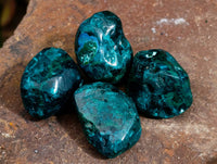 Polished Dioptase Free Forms x 20 From Likasi, Congo