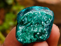 Polished Dioptase Free Forms x 20 From Likasi, Congo