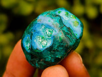 Polished Dioptase Free Forms x 20 From Likasi, Congo