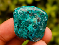Polished Dioptase Free Forms x 20 From Likasi, Congo
