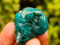 Polished Dioptase Free Forms x 20 From Likasi, Congo