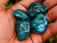 Polished Dioptase Free Forms x 20 From Likasi, Congo