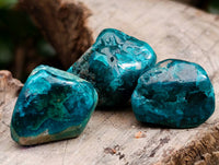 Polished Dioptase Free Forms x 20 From Likasi, Congo