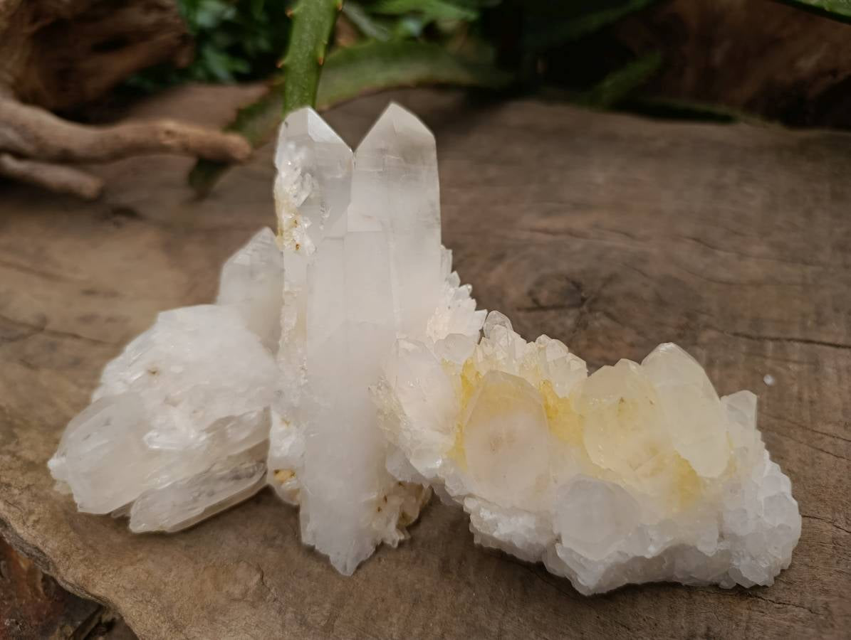 Natural Quartz Crystal Clusters and Crystals x 12 From Madagascar