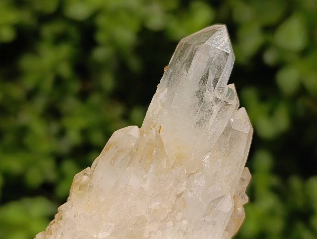Natural Quartz Crystal Clusters and Crystals x 12 From Madagascar