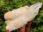 Natural Quartz Crystal Clusters and Crystals x 12 From Madagascar