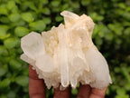 Natural Quartz Crystal Clusters and Crystals x 12 From Madagascar