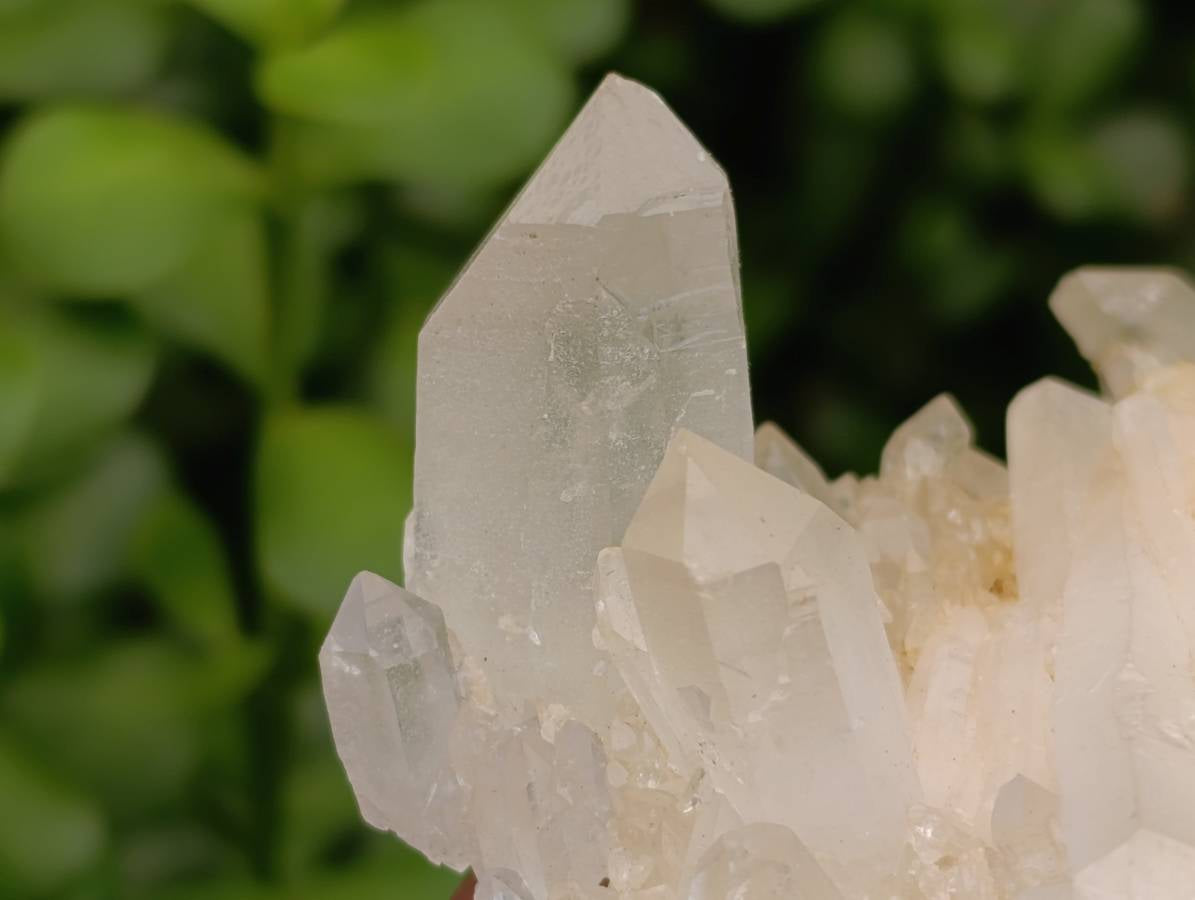 Natural Quartz Crystal Clusters and Crystals x 12 From Madagascar