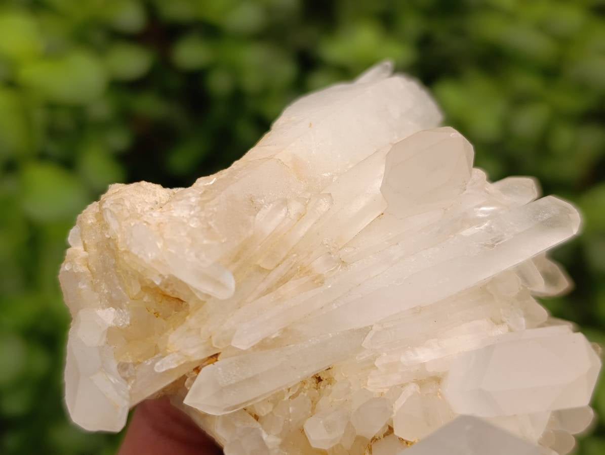 Natural Quartz Crystal Clusters and Crystals x 12 From Madagascar