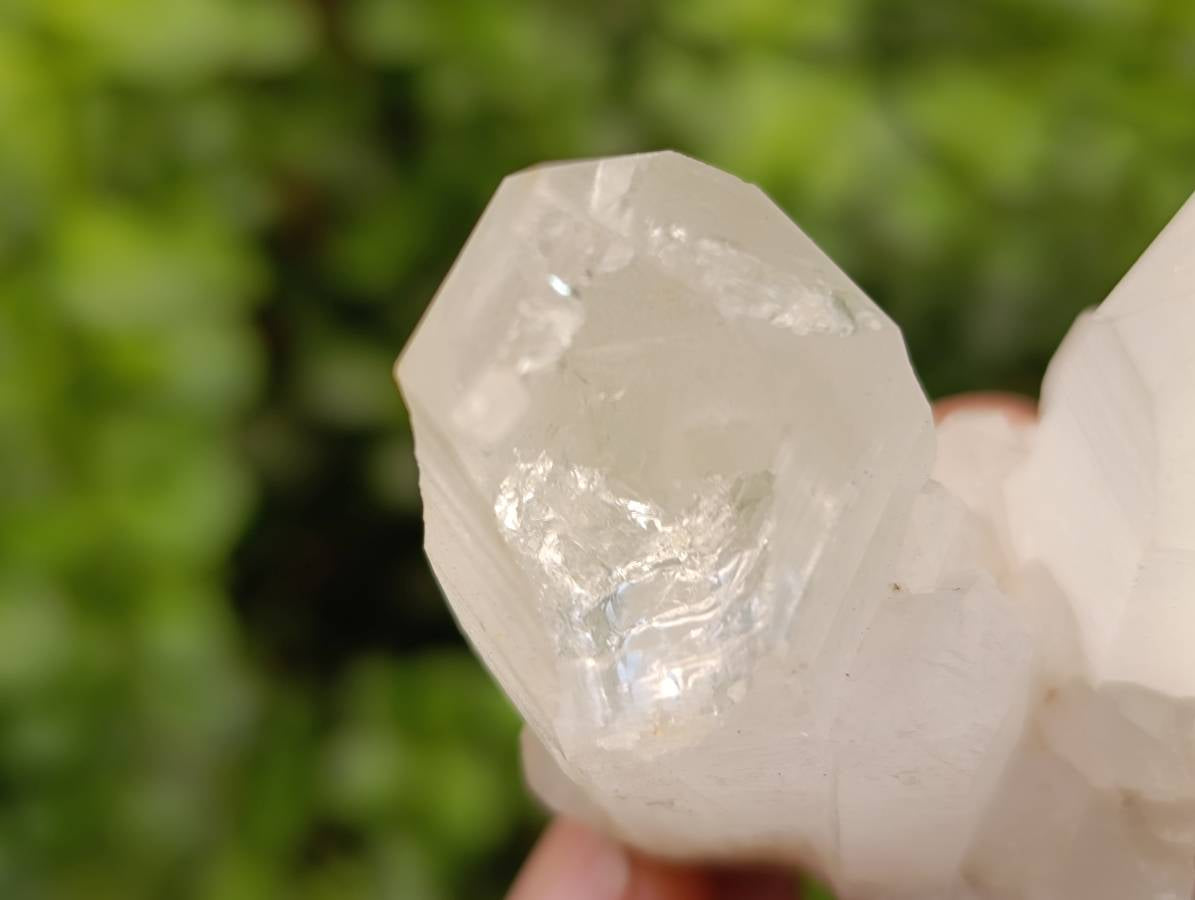 Natural Quartz Crystal Clusters and Crystals x 12 From Madagascar