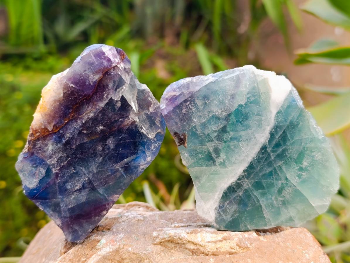 Polished On One Side Watermelon Fluorite Standing Slices x 6 From Uis, Namibia