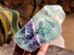 Polished On One Side Watermelon Fluorite Standing Slices x 6 From Uis, Namibia
