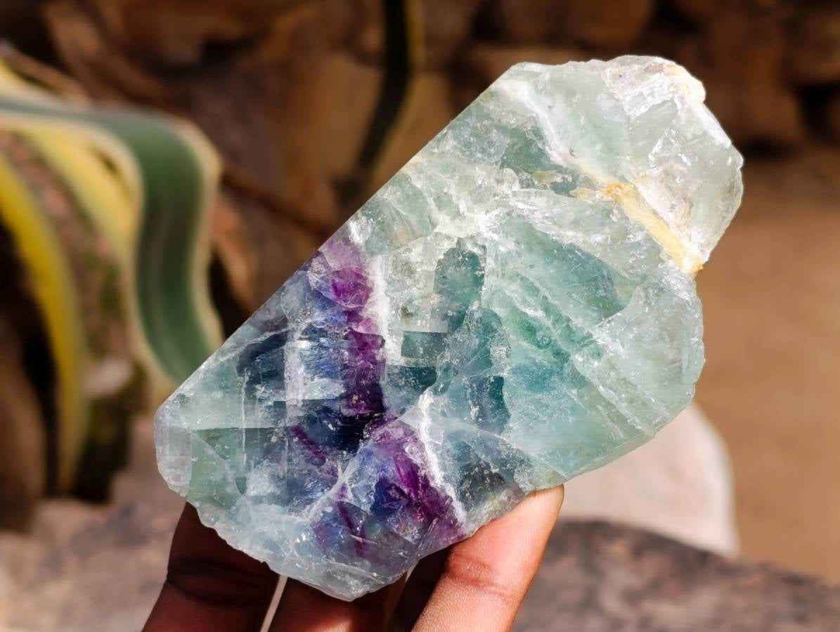 Polished On One Side Watermelon Fluorite Standing Slices x 6 From Uis, Namibia