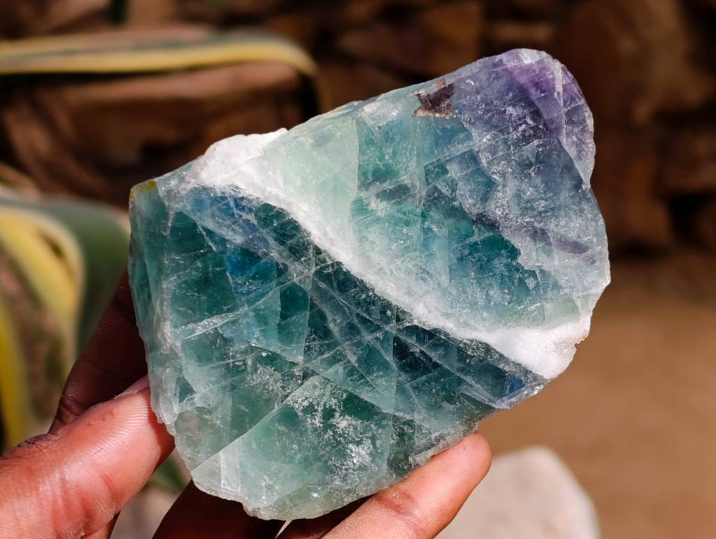 Polished On One Side Watermelon Fluorite Standing Slices x 6 From Uis, Namibia