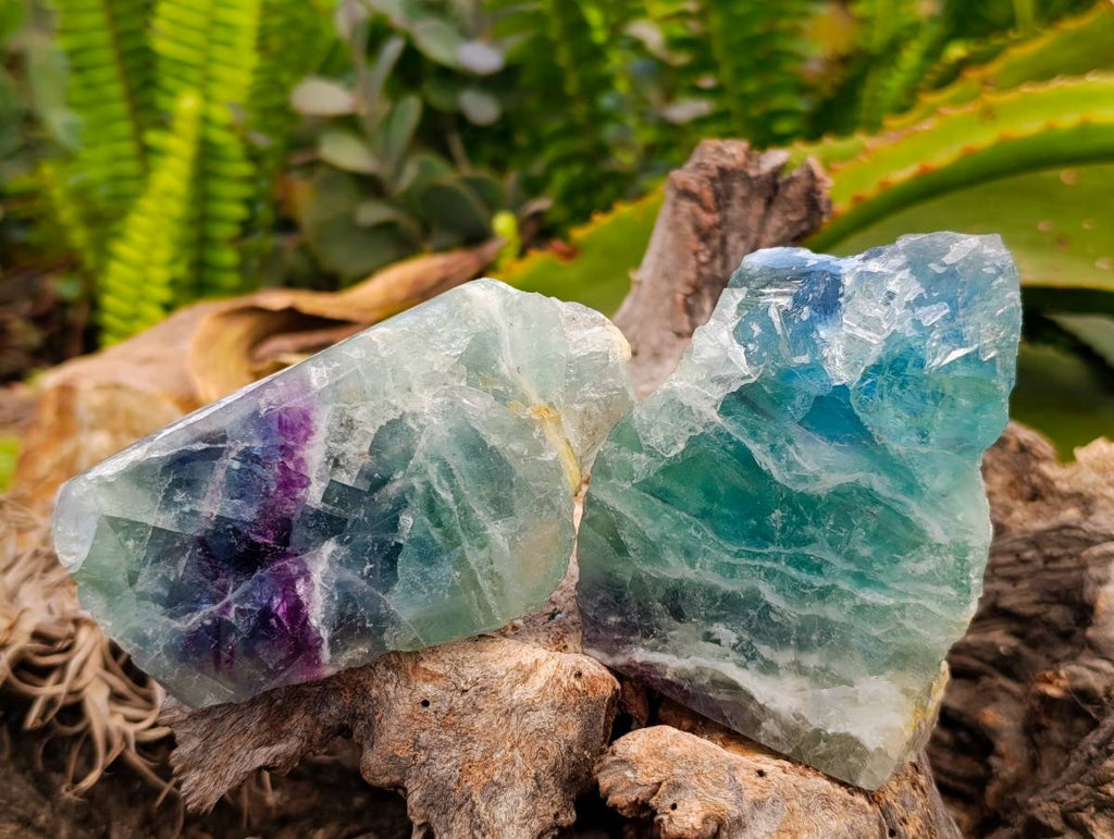 Polished On One Side Watermelon Fluorite Standing Slices x 6 From Uis, Namibia