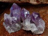 Natural Jacaranda Amethyst Quartz Crystal Clusters x 4 From Mumbwa, Zambia
